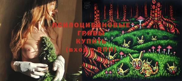 твердый Зеленодольск