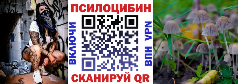Псилоцибиновые грибы Cubensis  Купить закладки  Ворсма 
