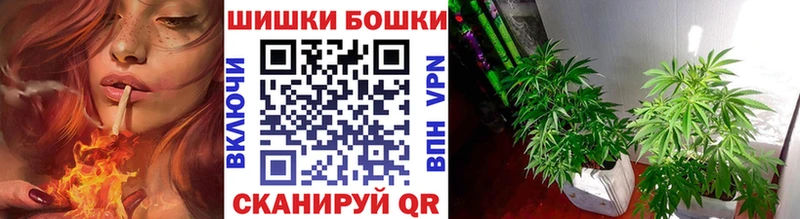 Бошки Шишки AK-47  Купить где  Ворсма 